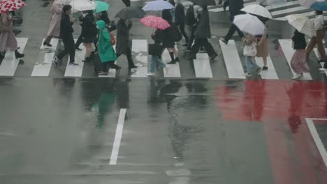 Menschen-Mit-Regenschirm-Laufen-An-Einem-Regnerischen-Tag-über-Die-Nasse-Straße-In-Shibuya-Crossing,-Tokio,-Japan