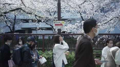 People-Wearing-Protective-Mask-Queuing-Up-During-Hanami-Season-Amidst-Covid19-Pandemic-In-Tokyo,-Japan