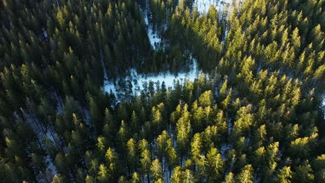 Aerial-top-down-orbit-over-snowy-mountain-forest