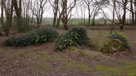 Die-Als-Dornröschen-Bekannte-Statue-Befindet-Sich-In-Den-Lost-Gardens-Of-Heligan-In-Cornwall,-England,-Vereinigtes-Königreich