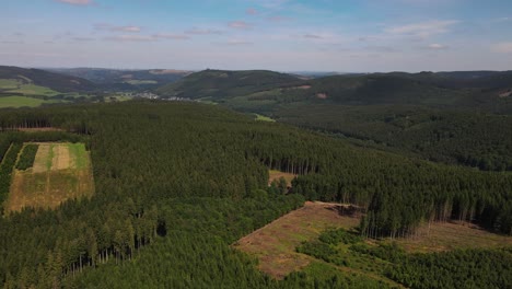Aerial-view-in-vast-forest,-Drone-shot-flying-over-tree-tops,-Nature-background