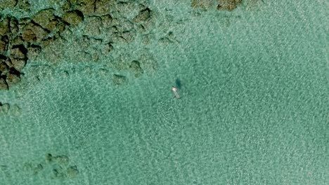 Lonely-person-scuba-diving-near-coastline-of-Crete-island,-aerial-top-down-ascending-view