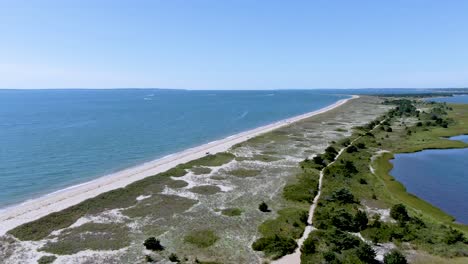 Aerial-view-of-the-ocean-and-the-National-Research-Reserve-,-the-view-descends-to-a-wooden-footbridge-on-the-beach