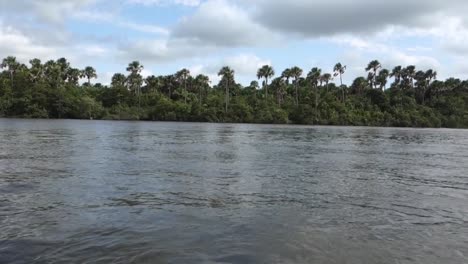 Navegando-En-El-Río-En-La-Naturaleza-Brasileña,-Ecosistema-De-Manglares