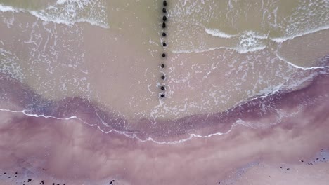Beautiful-aerial-view-of-an-old-wooden-pier-at-the-Baltic-sea-coastline,-overcast-day,-white-sand-beach-affected-by-sea-coastal-erosion,-calm-seashore,-ascending-wide-angle-birdseye-drone-shot