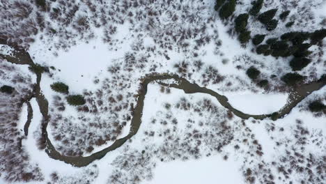 Mountain-river-flowing-through-forestry-area-covered-in-snow,-aerial-top-down-view