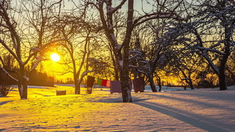 Sun-and-tree-shadows-move-across-snow-landscape,-washing-line