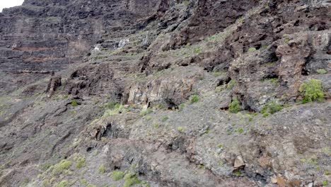 Luftdrohnenansicht-Auf-Rauen-Vulkanischen-Berghängen-Im-Anaga-Nationalpark-Auf-Teneriffa,-Kanarische-Inseln,-Spanien