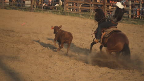 Cowboys-on-horseback-lassoing-a-running-calf-at-in-a-dusty-arena-at-a-country-rodeo