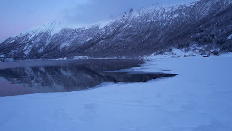 Wunderschöne-Robben,-Die-Während-Der-Polarnacht-Auf-Dem-Eis-Sitzen,-Mit-Einem-Violetten-Und-Rosa-Sonnenuntergang-Im-Norwegischen-Fjord,-Luftaufnahme