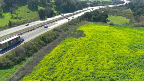 Kalifornische-Wildblumen-Entlang-Des-Highway-101-|-Vorbeiflug-Aus-Der-Luft