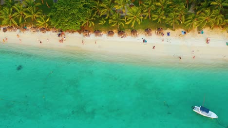Palm-trees-on-the-sandy-beach-and-turquoise-ocean-from-above