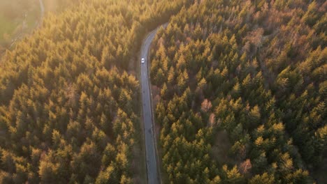 Two-cars-driving-along-a-paved-road-through-a-vast-cooniferous-forest-at-sunset