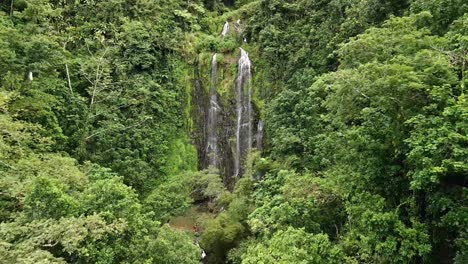 Drohnen-Luftaufnahme,-Die-Den-Von-Bäumen-Umgebenen-Wasserfall-Heranzoomt