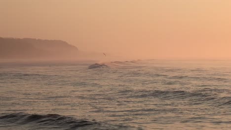 Bird-flies-over-the-waves-at-sunset-on-Punta-Mango-El-Salvador,-Handheld-wide-shot