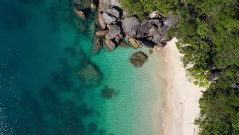 Beautiful-Fitzroy-Island-top-down-aerial-of-Nudey-Beach-and-clear-turquoise-water,-Queensland,-Australia