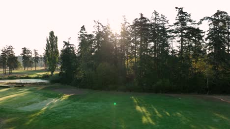 Sun-peaking-through-a-grouping-of-evergreen-trees-on-a-golf-course