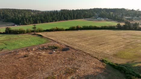 Aerial-view-of-rural-farmland-on-Whidbey-Island,-Washington