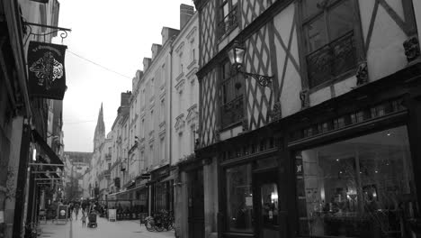Monochrome-Of-A-Dynamic-Urban-Hub-Of-Angers-In-Western-France