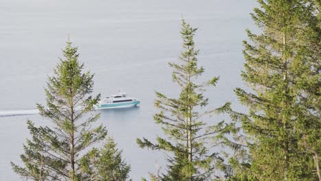 Pinien-Am-Ufer-Mit-Einem-Motorboot,-Das-über-Das-Meer-Fährt