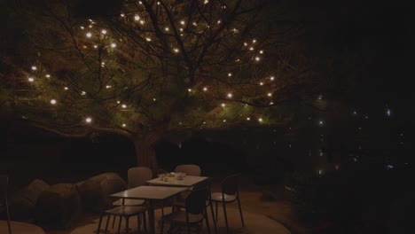 Malerische-Aussicht-Auf-Einen-Baum-Mit-Leuchtenden-Lichtern-Und-Einem-Abendessen-Im-Freien
