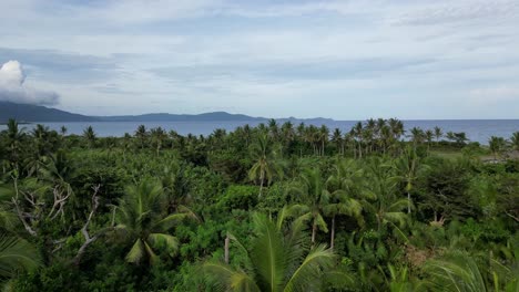 A-mesmerizing-aerial-footage-of-a-palm-tree-forest-with-islands-and-the-ocean-in-the-background,-perfect-for-travel-and-vacation-themes