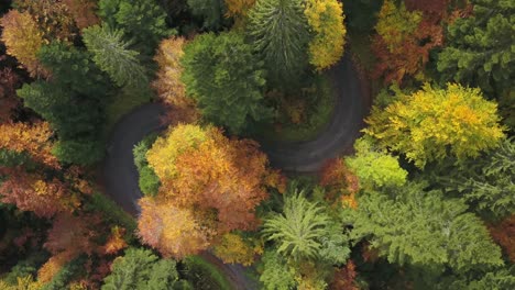 Curved-serpentine-road-in-beautiful-autumn-forest-during-foliage-season