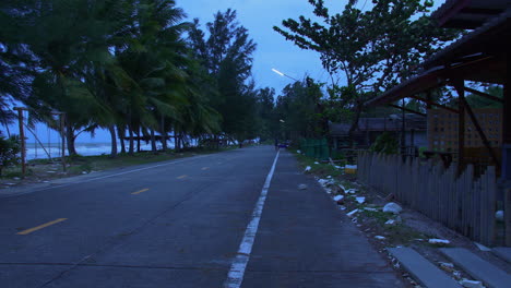 Windy-tropical-road-with-palm-trees-in-blue-evening-light