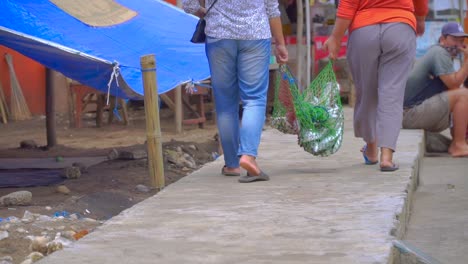 Asian-women-carrying-big-fish-in-a-green-net-while-walking-away-from-dock-in-village