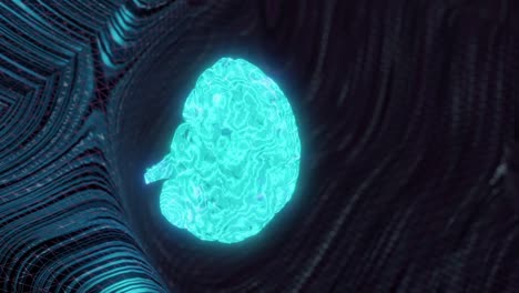 Vertical-motion-graphics-of-spinning-blue-human-brain,-dark-background