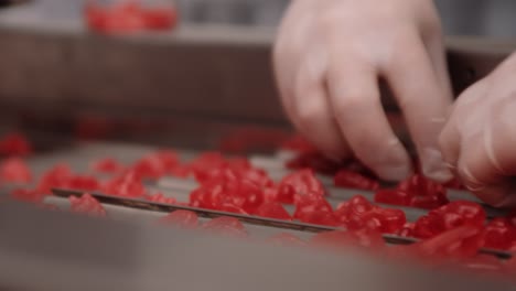 Employees-at-nutraceutical-production-factory-spreads-out-red-gummy-vitamins