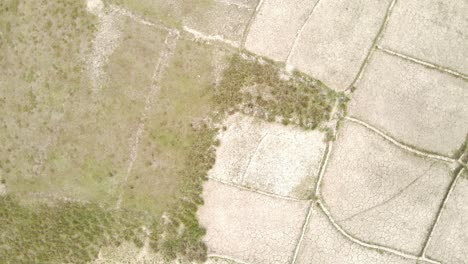 Trockene,-Rissige-Dürre-Zerbrochene-Landwirtschaftliche-Flächenabschnitte,-Luftaufnahme,-Rotierend-über-Karger,-Beschädigter-Landschaft