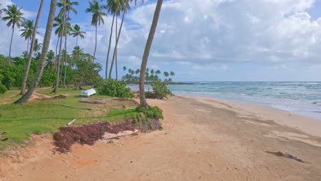 Tropisches-Paradies-In-Der-Karibik-–-Palmengesäumter-Strand-Von-Los-Coquitos