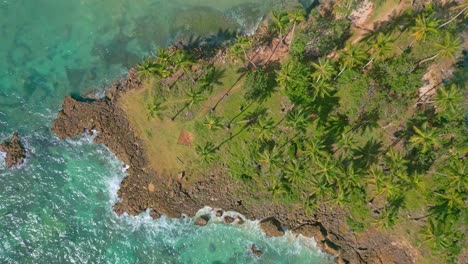 Rocky-outcrop-with-exotic-vegetation-and-palms,-Playa-Los-Coquitos