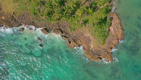 Luftaufnahme-Einer-Tropischen-Insel-Mit-Palmenplantage,-Küste-Und-Kristallklarem-Karibischem-Meer-Bei-Sonnenlicht