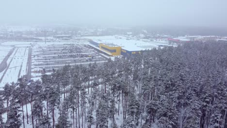 Tienda-Sueca-De-Ikea-En-Invierno,-Bosque-En-Primer-Plano,-Vista-Frontal-De-Muñeca