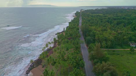 Aerial-flyover-coastal-road-surrounded-by-tropical-Palm-trees-and-Caribbean-sea-during-cloudy-day---Nagua,-Dominican-Republic