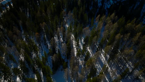 Luftaufnahme-über-Einem-Wald-Im-Winter-Und-Verschneitem-Gelände