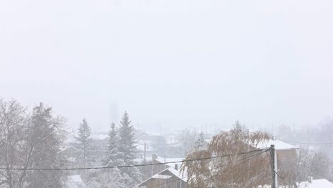 Starker-Schneefall-Auf-Häusern-Und-Bäumen