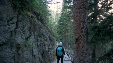 Female-hiking-in-a-forest-next-to-a-rock-wall-and-pine-trees-with-a-blue-backpack-and-black-clothing,-tilt-down