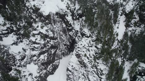 Draufsicht-Auf-Schneebedeckte-Berge-Mit-Tannen