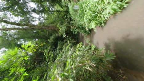 Vertikale-FPV-Drohnenaufnahme-Zwischen-Dem-Dschungel-Von-Bali,-Wo-Eine-Frau-Sich-In-Der-Natur-Entspannt