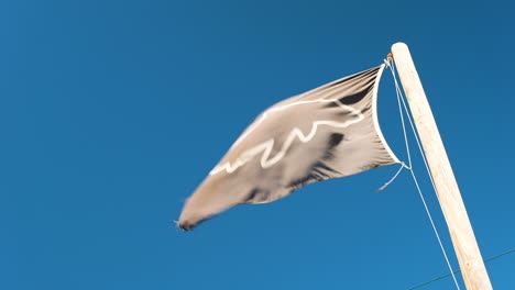 Die-Flagge-Der-Schwarzhai-Spotter-Weht-Im-Wind-Vor-Blauem-Himmel