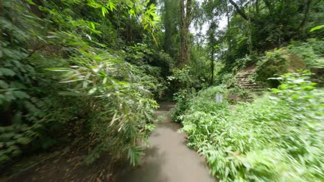 FPV-Drohnenaufnahme-Zwischen-Dem-Dschungel-Von-Bali,-Wo-Eine-Frau-Sich-In-Der-Natur-Entspannt