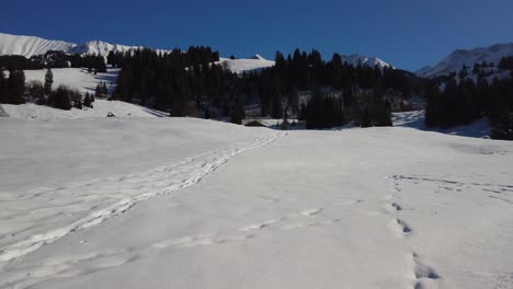 Snow-hiking-trails-in-the-Swiss-Alps-on-a-sunny-day-with-blue-sky