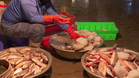 Largest-fishing-port-Tho-Quang-in-early-morning-and-woman-separating-fishes-for-sale,-Vietnam