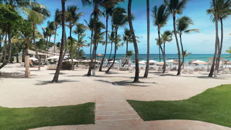 Dolly-in-with-pan-and-tilt-shot-of-beach-with-palm-trees