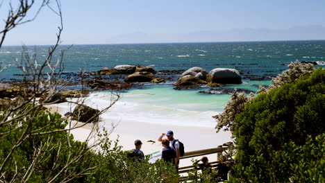Tourists-at-Boulders-beach-platform-to-view-African-penguin-colony