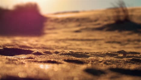 OBX-dune-sand-close-up-sunset-golden-hour-UHD-60fps