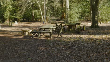 Wooden-picnic-table-and-bench-in-autumn-countryside-public-park-woods